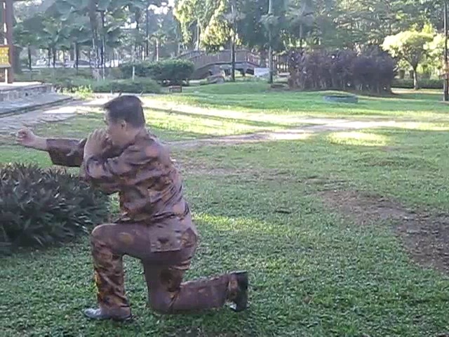 Wu Chuan You Style Taijiquan